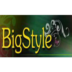 Школа танцев «Big Style» Школа танцев «Big Style»