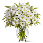 Служба доставки цветов «Flowers61.ru» Служба доставки цветов «Flowers61.ru»